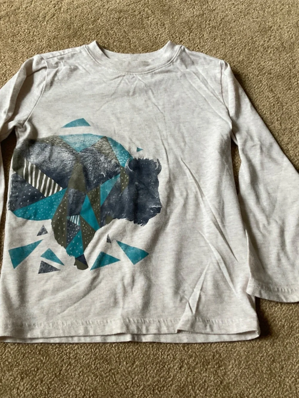 Bundle of 2 Boys long sleeve top